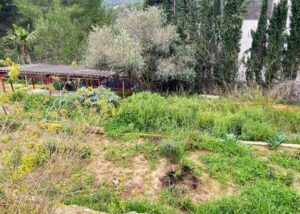 CONSTRUYE LA CASA DE TUS SUEÑOS