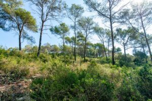 Construye el hogar que imaginas